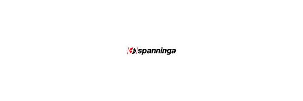 Spanninga