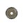 ***B-WARE*** Shimano Schraubkranz MF-TZ500 7-fach 14-34 Z,Megarange