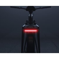 RÜCKLICHT für E-bike 6-12V DC mit...