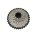 Rico Kassette CS1036A,10-fach,11-36z,Shimano komp.BOX
